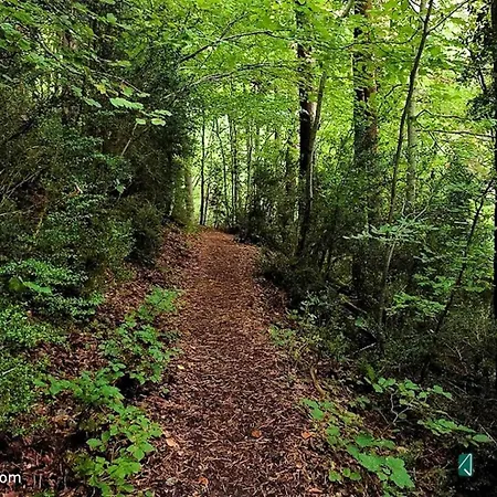 Apartman Marraquita Avairent Estacion *